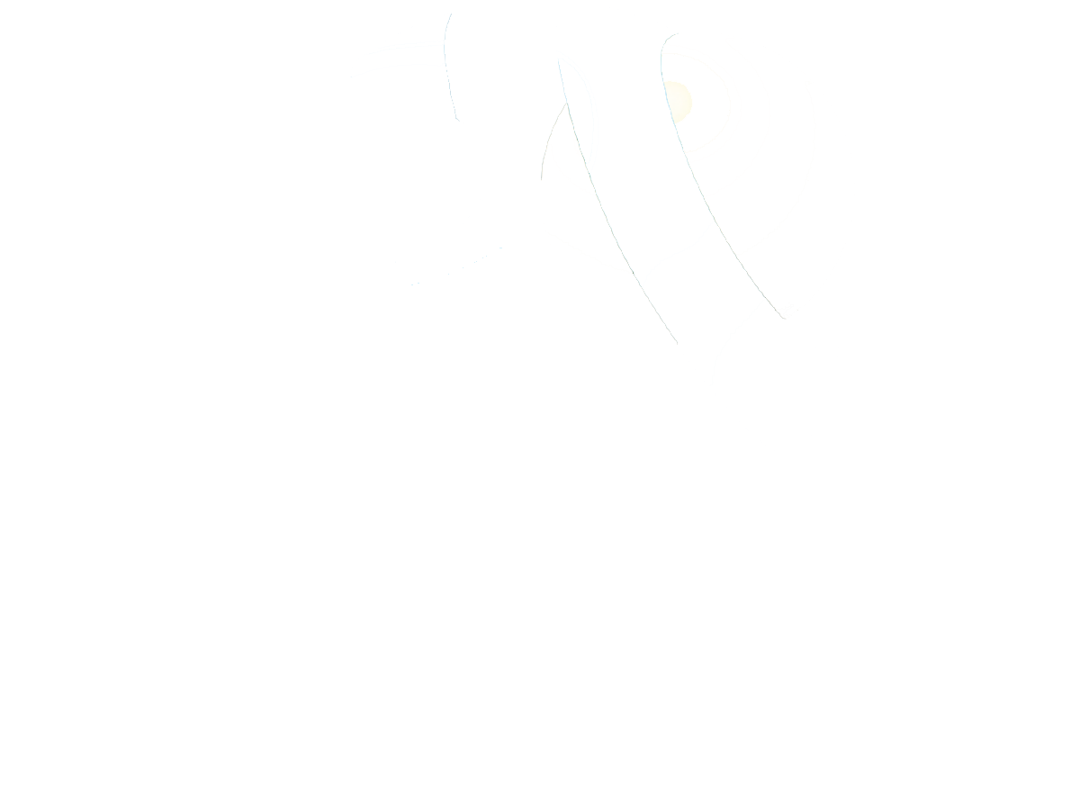 tokio marine insurance